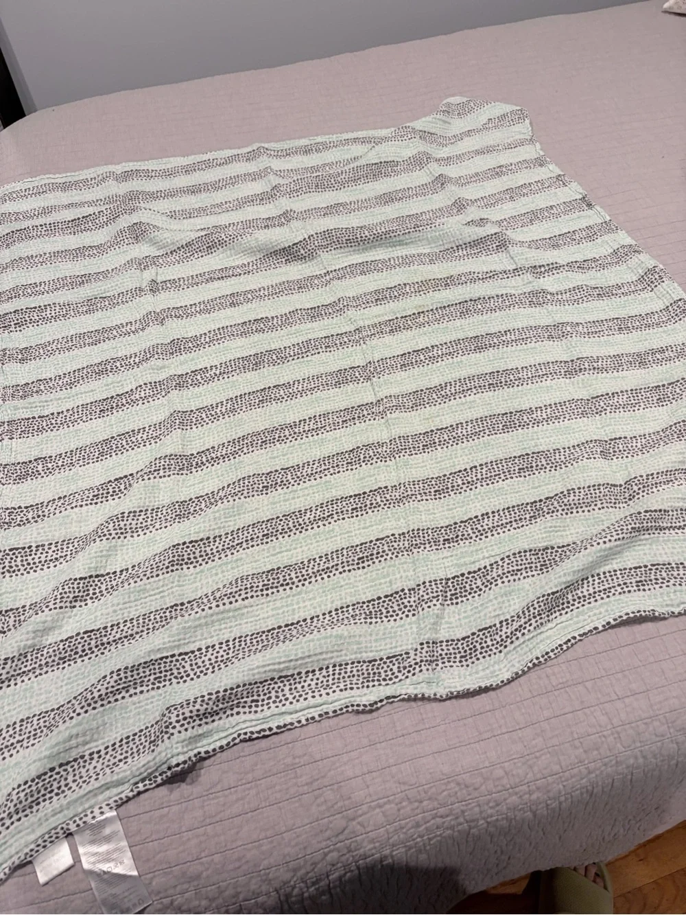 Aden + Anais Classic Muslin Swaddle Blanket – Mint & Gray Dot Stripe